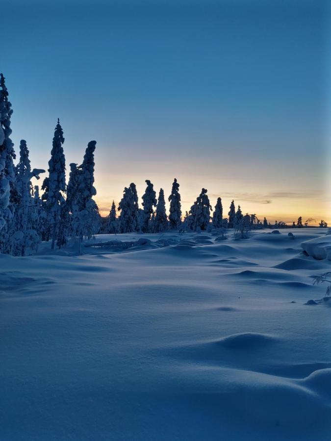 Villanorva Saarenkylä Exteriér fotografie